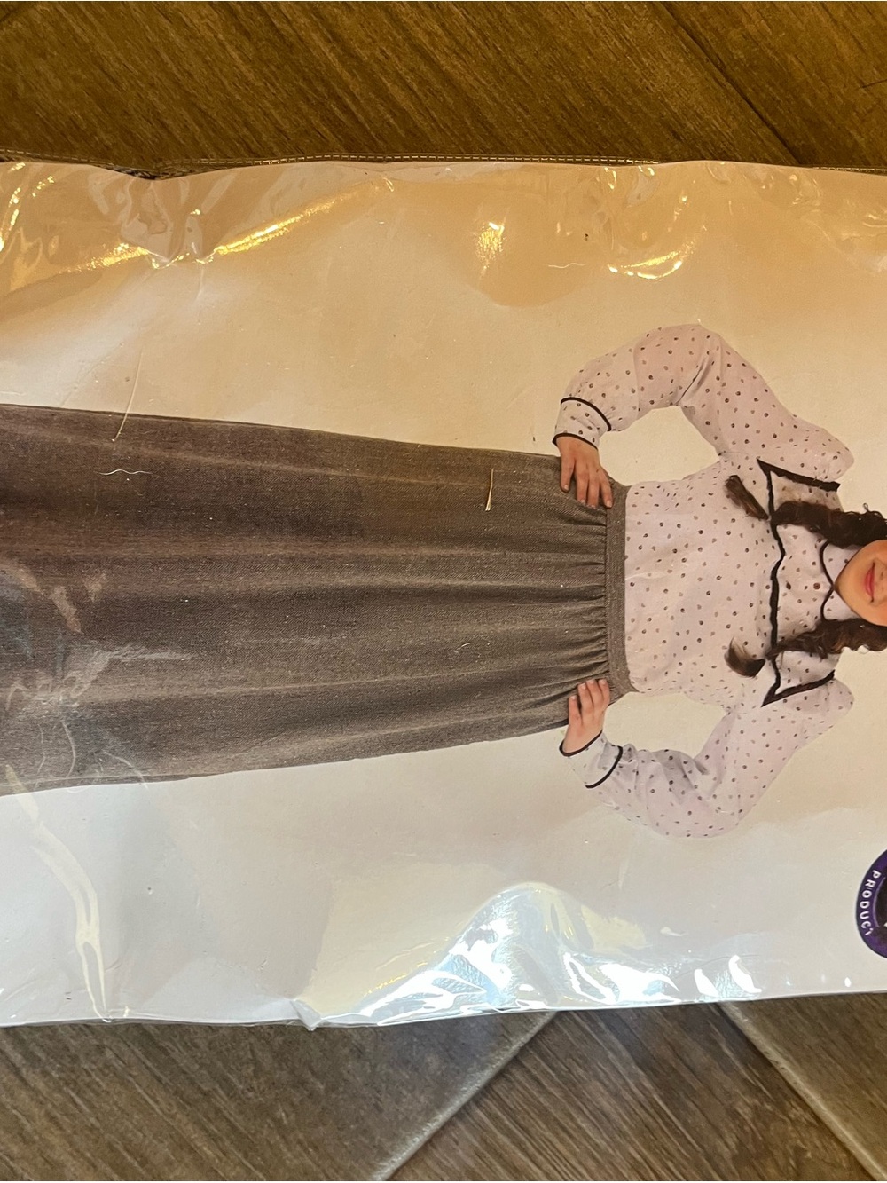 Plus Size Woman’s Westward Pioneer Costume